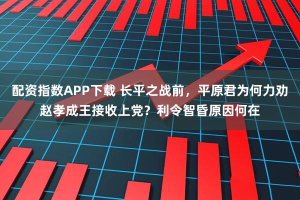配资指数APP下载 长平之战前，平原君为何力劝赵孝成王接收上党？利令智昏原因何在