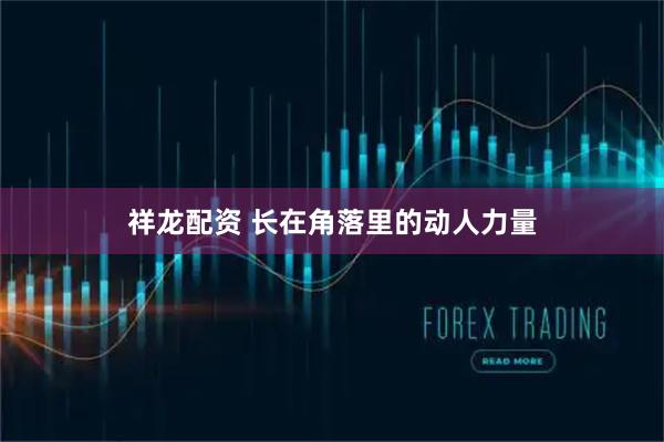 祥龙配资 长在角落里的动人力量