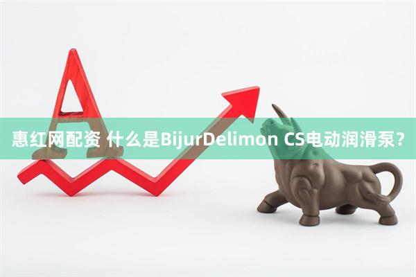 惠红网配资 什么是BijurDelimon CS电动润滑泵？