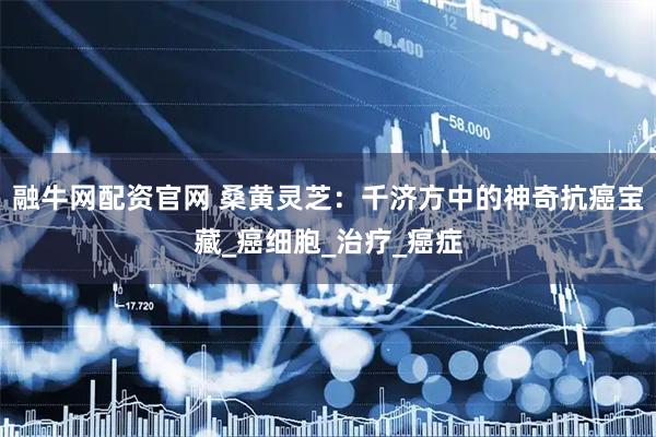 融牛网配资官网 桑黄灵芝：千济方中的神奇抗癌宝藏_癌细胞_治疗_癌症