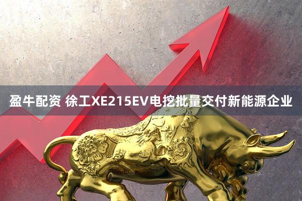 盈牛配资 徐工XE215EV电挖批量交付新能源企业