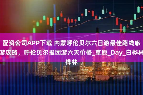 配资公司APP下载 内蒙呼伦贝尔六日游最佳路线旅游攻略，呼伦贝尔报团游六天价格_草原_Day_白桦林