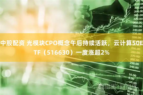 中股配资 光模块CPO概念午后持续活跃，云计算50ETF（516630）一度涨超2%